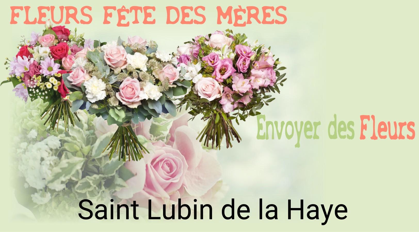 Bouquet de Fête des Mères livré à Saint-Lubin-de-la-Haye